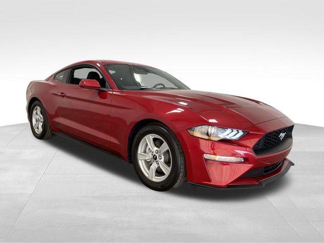 2023 Ford Mustang EcoBoost Fastback RWD