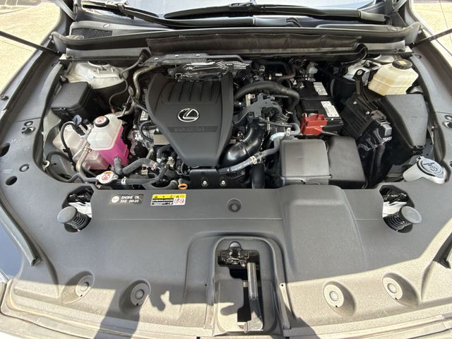 Used 2024 Lexus RX SUV