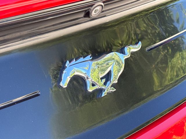 Used 2019 Ford Mustang Convertible