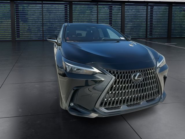 2024 Lexus NX - $39,998