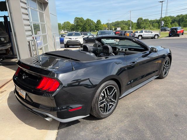2023 Ford Mustang EcoBoost Premium Black at Bob Ruth Ford