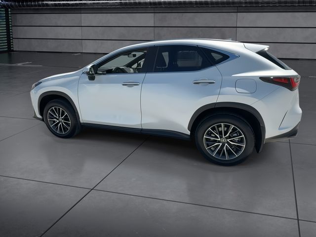 Used 2025 Lexus NX SUV