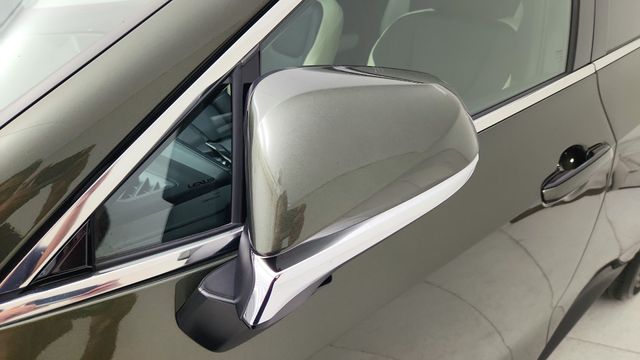 2023 Lexus NX 250 Premium Green at DeMontrond Auto Country