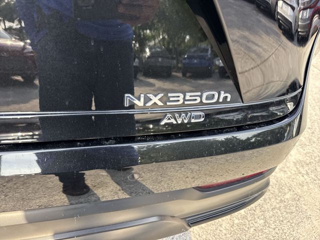 Used 2023 Lexus NX SUV