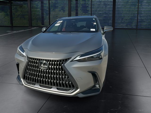 2025 Lexus NX - $47,888