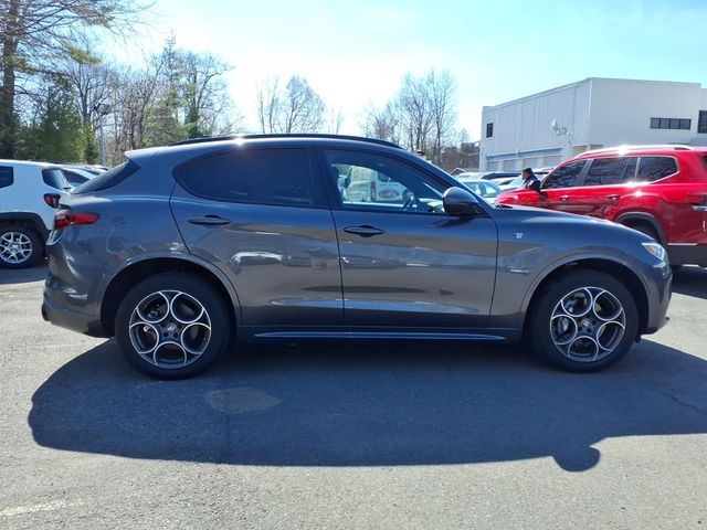 2023 Alfa Romeo Stelvio - Image 9