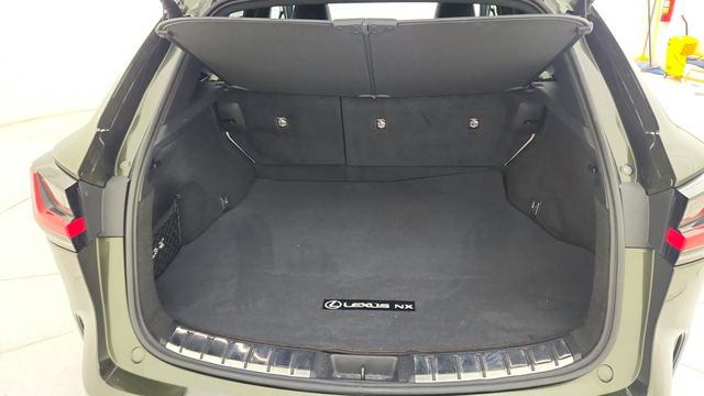2023 Lexus NX 250 Premium Green at DeMontrond Auto Country