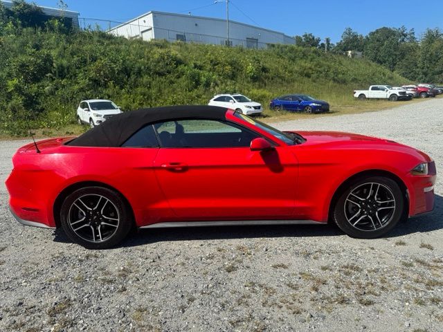 Used 2022 Red Ford EcoBoost Premium image 9