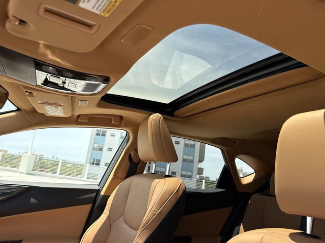 Used 2024 Lexus NX SUV