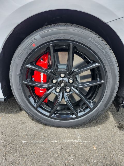 New 2026 White Ford GT image 19