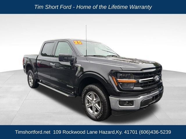 Black Metallic 2025 Ford F-150 Pickup Truck Four-Wheel Drive Automatic