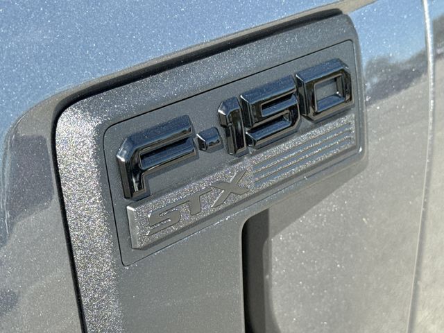 New 2026 Gray Ford STX image 6