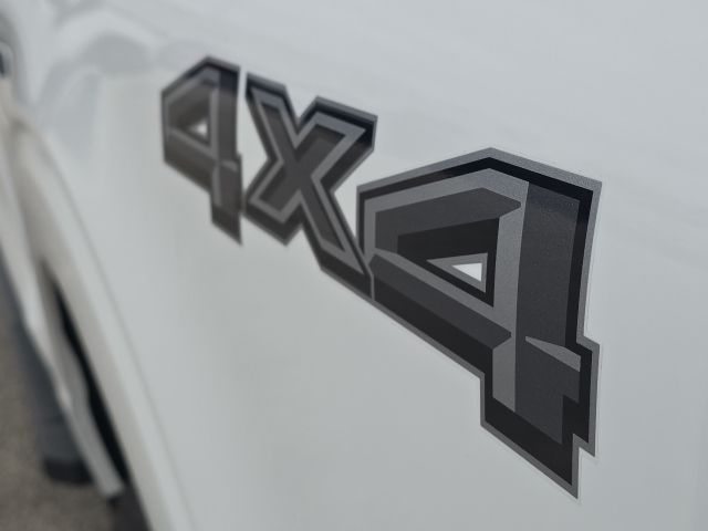 2024 Ford F-150 XLT:168393B1