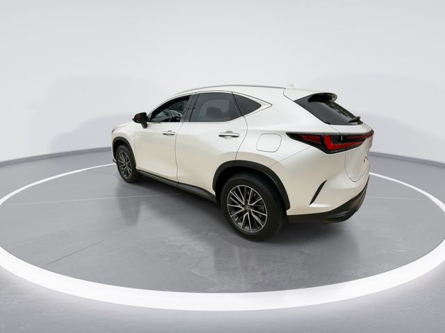 2025 Lexus NX - $44,998
