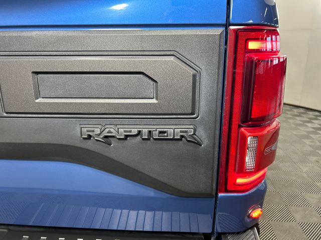 2019 Ford F-150 Raptor 34