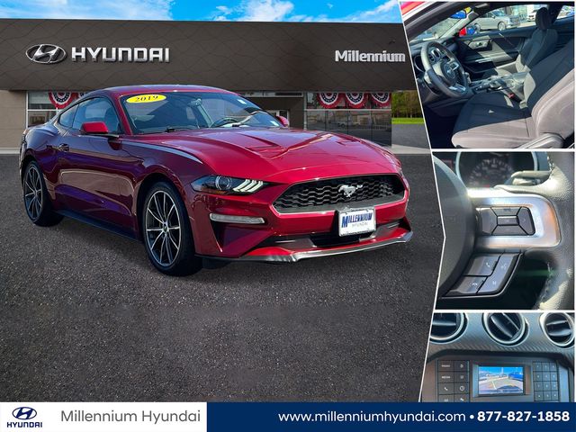 Ruby Red Metallic 2019 Ford Mustang Coupe Rear-Wheel Drive Automatic