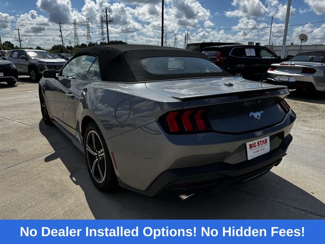2024 Ford Mustang EcoBoost Premium Gray at DeMontrond Mazda