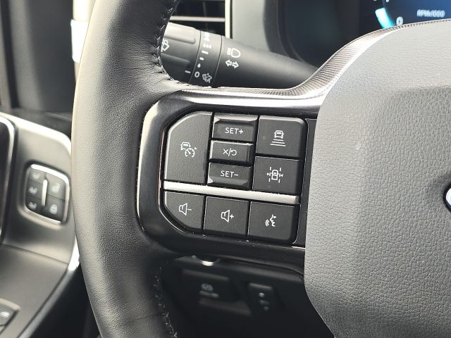 2024 Ford F-150 Platinum:167270A