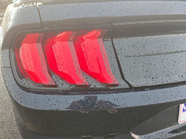 Used 2021 Ford Mustang Coupe