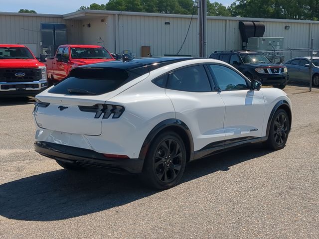 Used 2023 White Ford Premium image 13