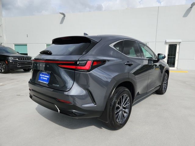 2024 Lexus NX 250 Base 7