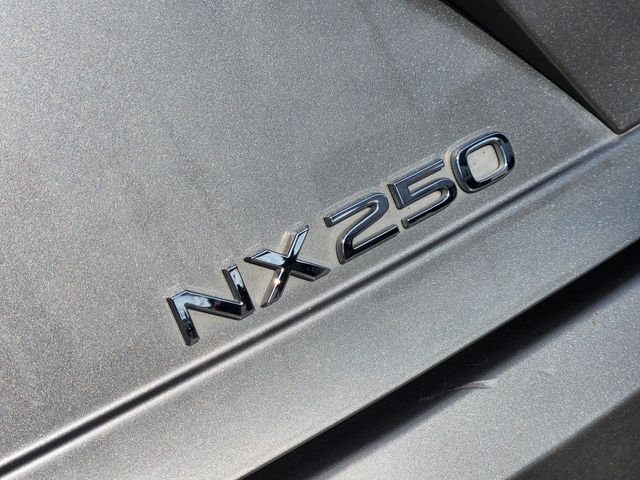 2024 Lexus NX 250 Premium - 11