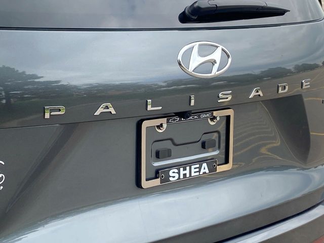 2024 Hyundai Palisade SEL 31