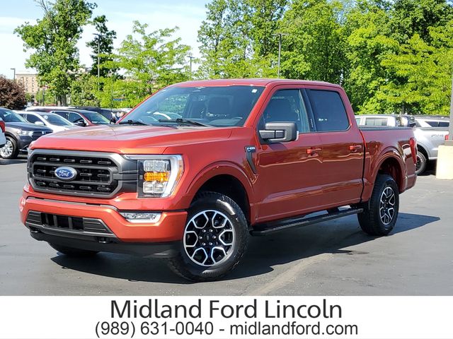 Chili Pepper Red 2023 Ford F-150 XLT SuperCrew 4WD Pickup Truck Four-Wheel Drive Automatic