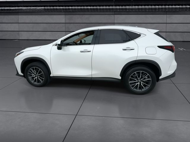 2025 Lexus NX - $39,998