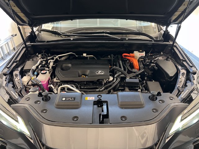 Used 2025 Lexus NX SUV