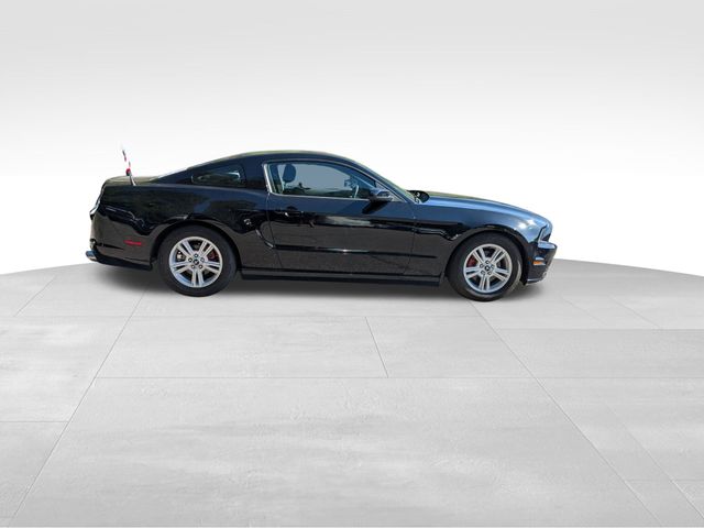 2014 Ford Mustang V6 photo