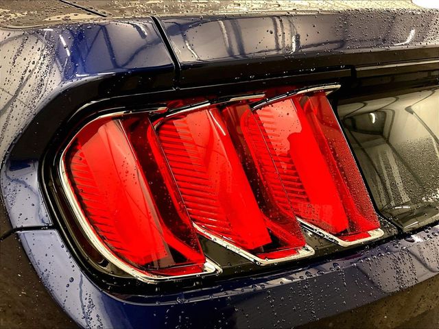 2015 Ford Mustang GT 50 Years Limited Edition Blue at Grove City Ford