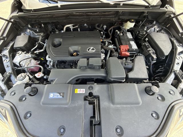2024 Lexus NX - $38,898