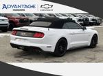 2021 Ford Mustang GT Premium Convertible RWD