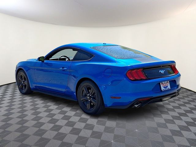 FordMustang4