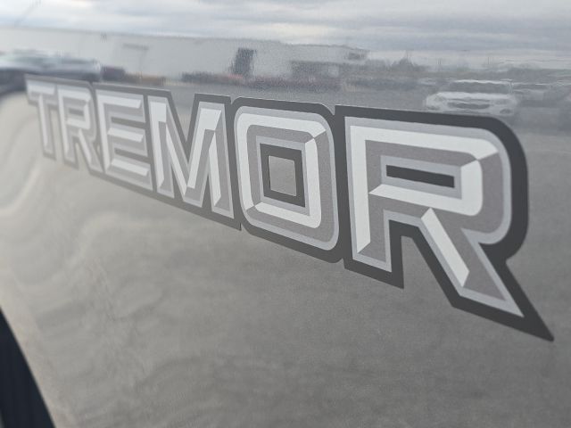 2025 Ford F-250SD XLT:168566A