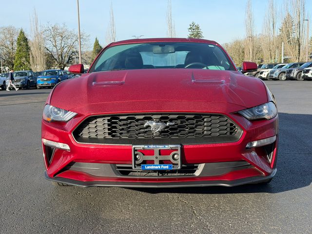 used 2019 Ford Mustang car, priced at $21,995