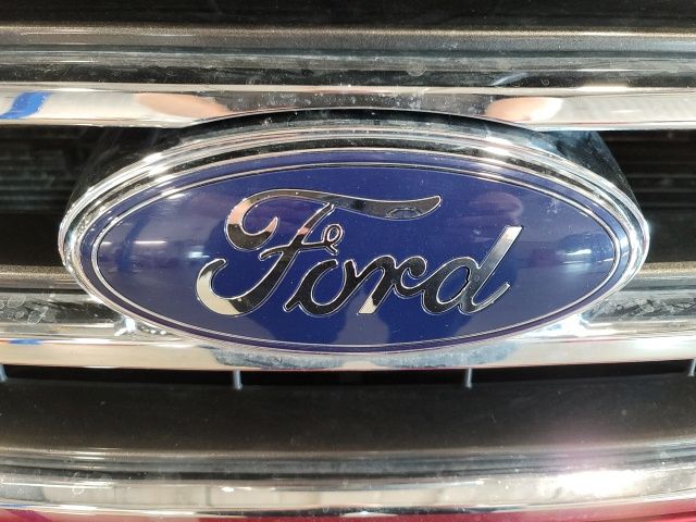 2015 Ruby Red Metallic Ford Expedition XLT 4X4 SUV