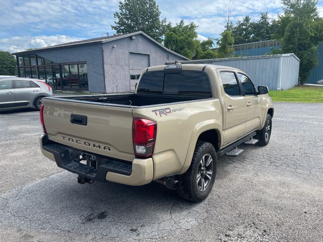 Used 2019 Toyota Tacoma Truck