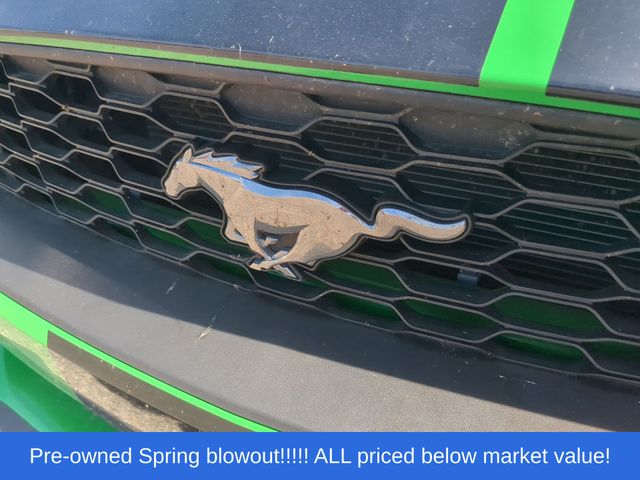 Used 2019 Green Ford EcoBoost Premium image 9