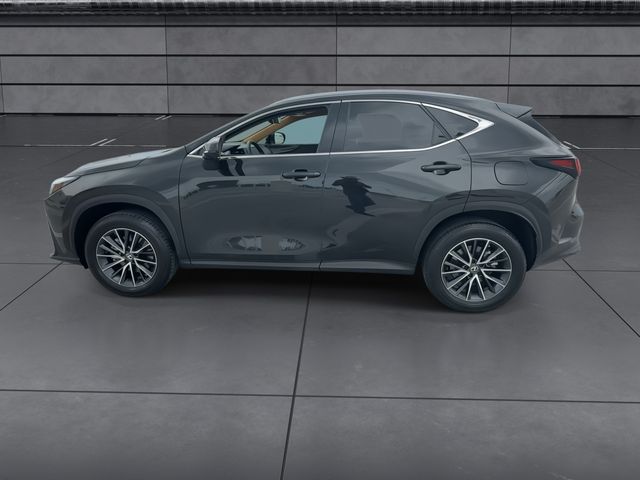 2025 Lexus NX - $41,998