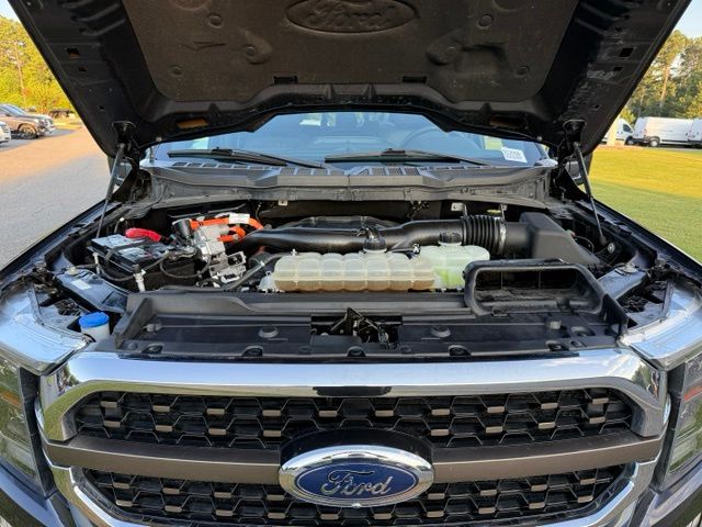 Used 2022 Ford F-150 Truck