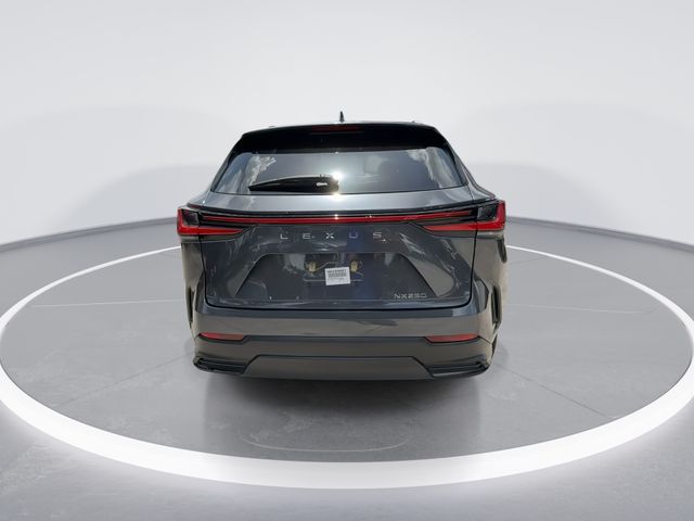 Used 2024 Lexus NX SUV