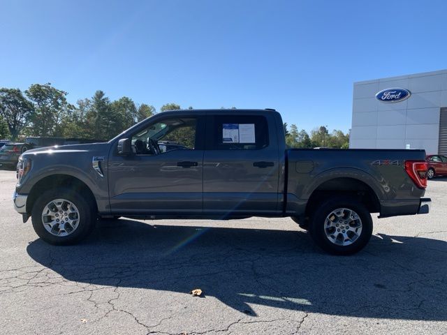 2023 Ford F-150 XLT 2