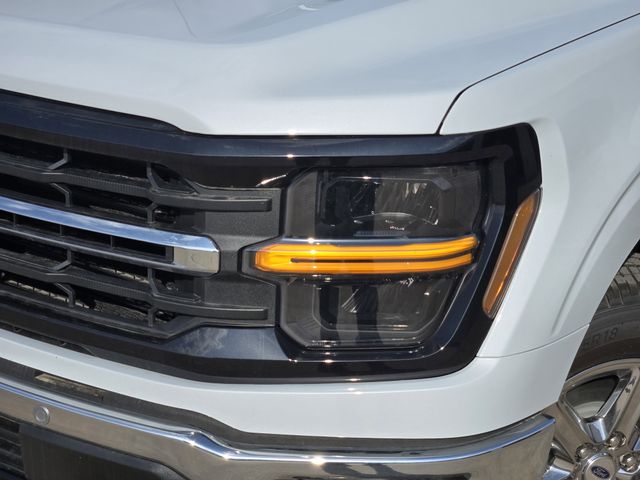 2025 White Ford F-150 XLT 4X4 Truck