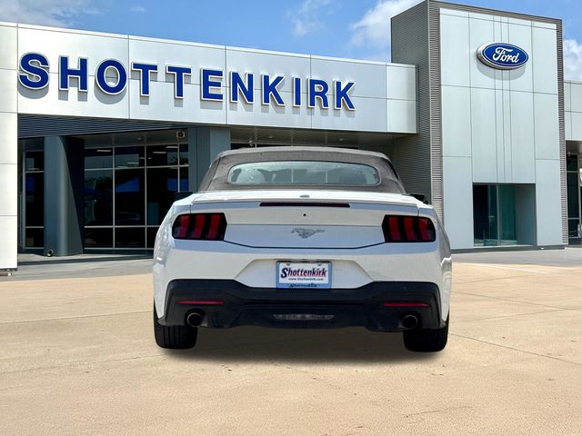 Used 2024 White Ford EcoBoost Premium image 7