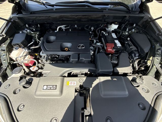 2025 Lexus NX - $40,998