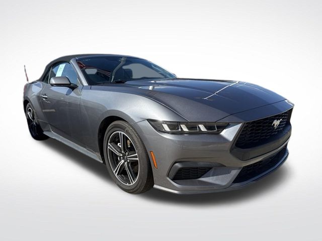 Gray Metallic 2024 Ford Mustang Convertible Rear-Wheel Drive Automatic
