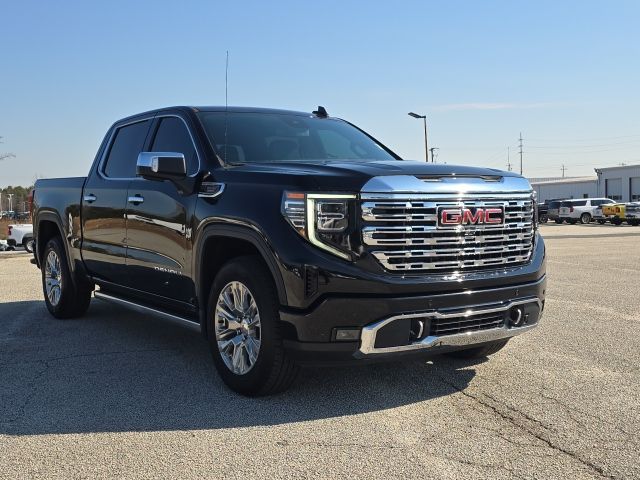 2022 GMC Sierra 1500 Denali:C02416