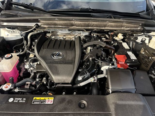 Used 2024 Lexus RX SUV
